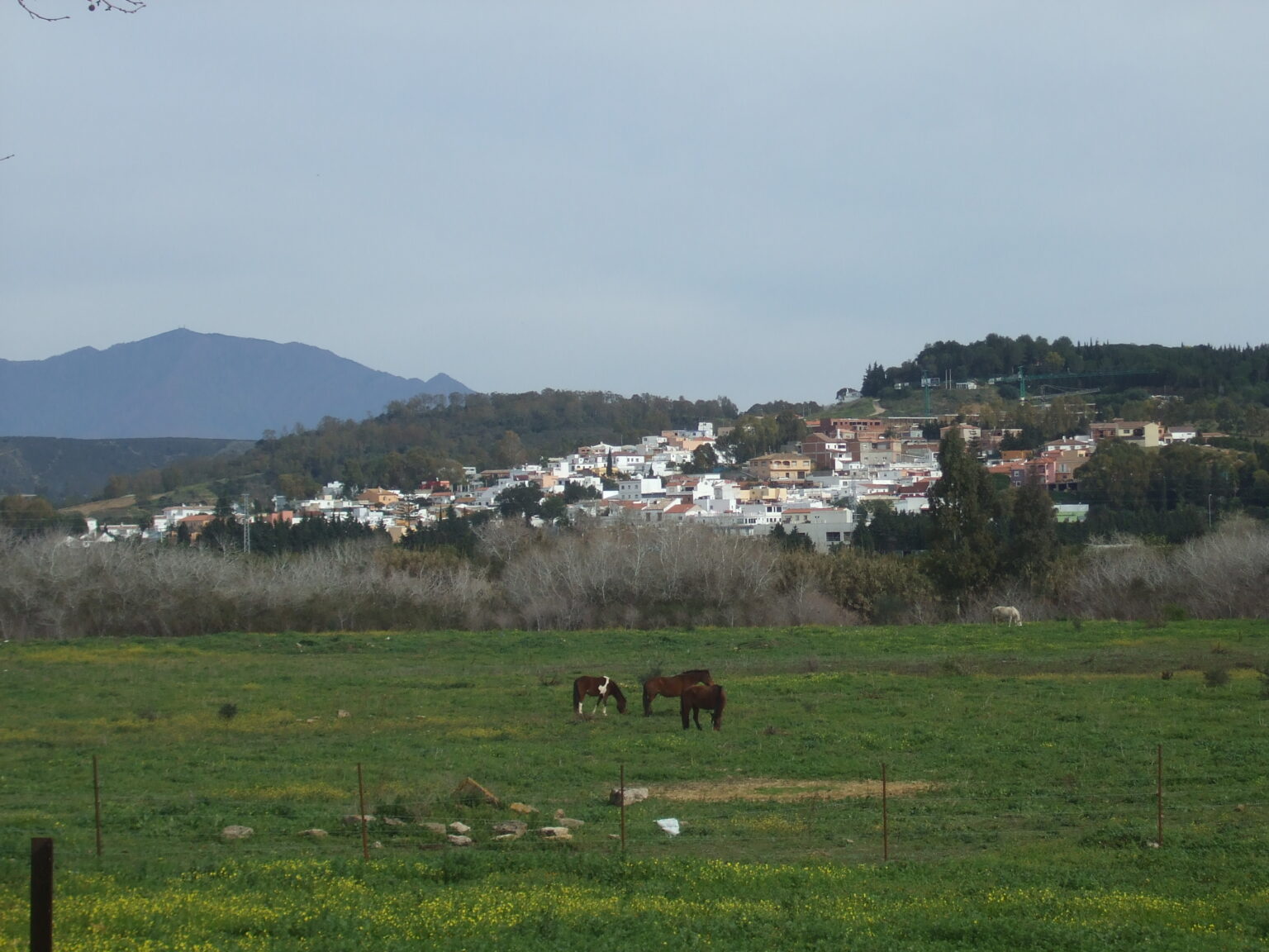 San Enrique de Guadiaro village with green countryside and hills behind